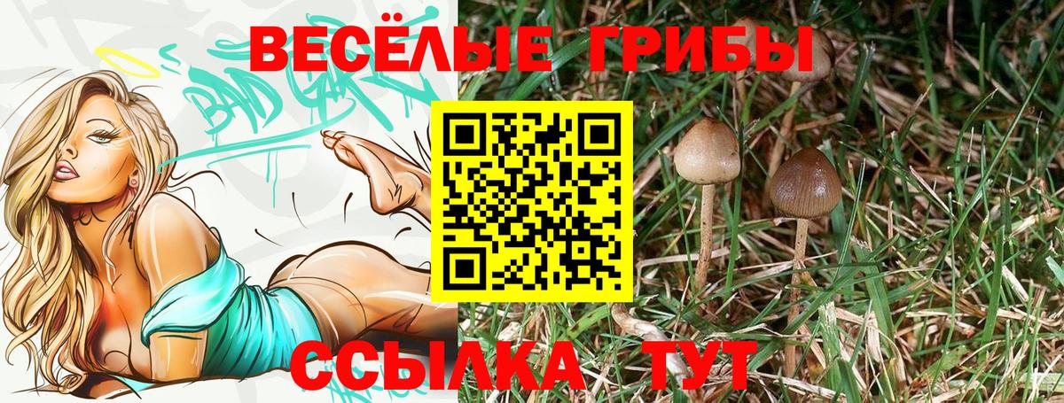 Галлюциногенные грибы мухоморы Сыктывкар
